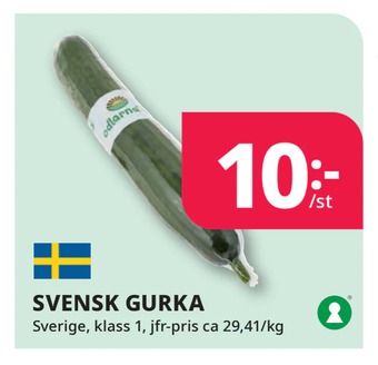 Tempo Svensk gurka erbjuda