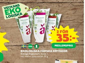 Coop Änglamark kryddörter erbjuda