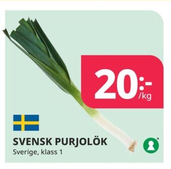 Tempo Odlarna.se purjolök erbjuda