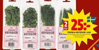 ICA Kvantum FÄRSKA KRYDDOR I ASK erbjuda