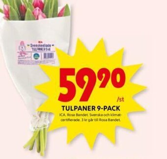 ICA Kvantum TULPANER 9-PACK erbjuda
