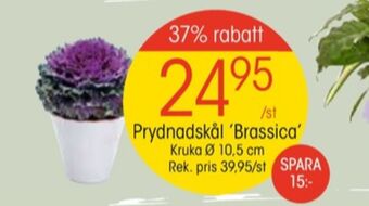 EKO Eko plantor erbjuda