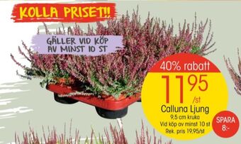 EKO Depend plantor erbjuda