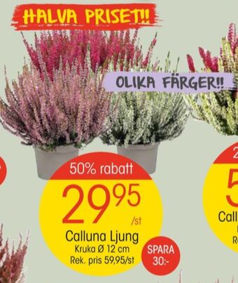 EKO Depend plantor erbjuda