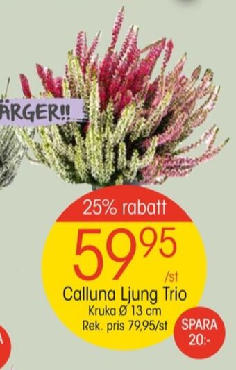 EKO Depend plantor erbjuda