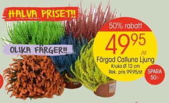 EKO Depend plantor erbjuda