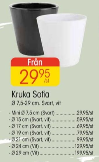 EKO Weibull krukor erbjuda
