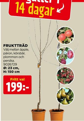 Jem&Fix Fruktträd erbjuda