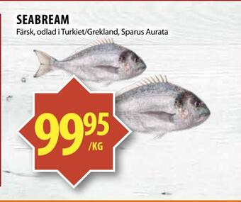 Matvärlden Tensta Seabream erbjuda