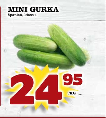 Supergrossen Mini gurka erbjuda