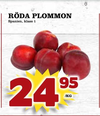 Supergrossen Röda plommon erbjuda