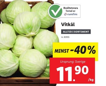 Lidl Vitkål erbjuda