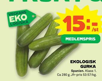 Stora Coop Ekologisk gurka erbjuda