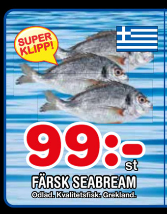 Nya Pulsen Färsk seabream erbjuda