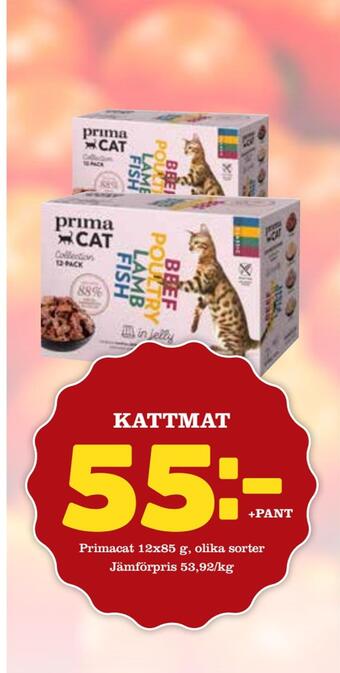 MatArket Kattmat erbjuda