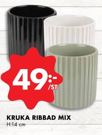 ÖoB Kruka ribbad mix erbjuda