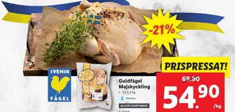 Lidl Guldfågel Majskyckling erbjuda