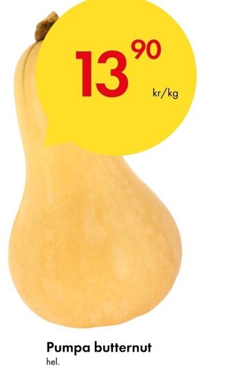 Snabbgross Pumpa butternut erbjuda