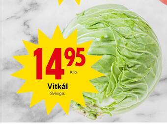 Matöppet Vitkål erbjuda
