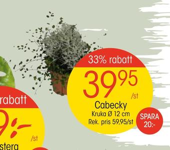 EKO Cabecky erbjuda