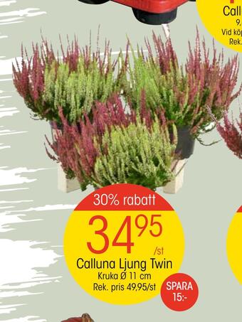 EKO Calluna ljung twin erbjuda