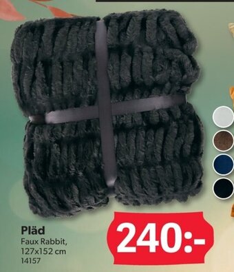 DollarStore Pläd erbjuda