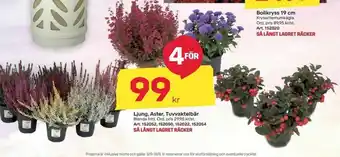 Plantor