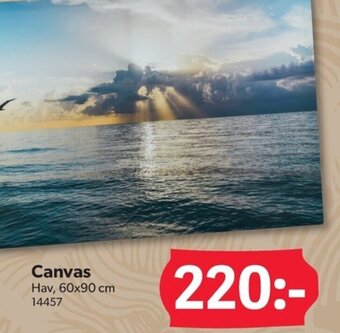 DollarStore Canvas erbjuda