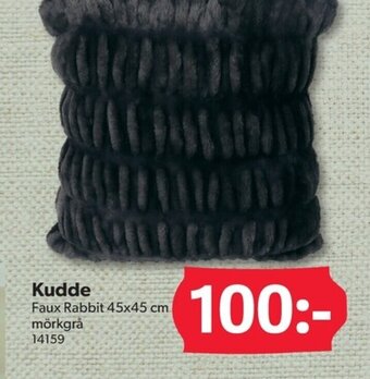 DollarStore Kudde erbjuda