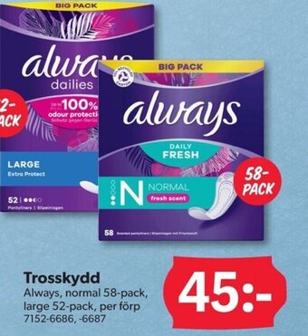 DollarStore Trosskydd Always erbjuda