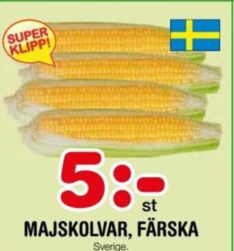 Nya Pulsen MAJSKOLVAR, FÄRSKA erbjuda