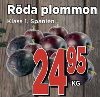 Supergrossen Röda plommon erbjuda