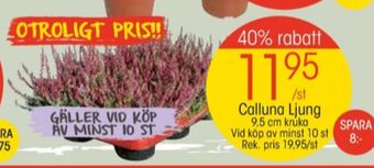 EKO Plantor erbjuda