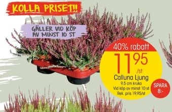 EKO Eko plantor erbjuda