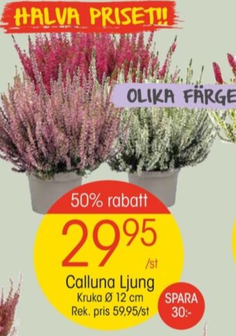 EKO Eko plantor erbjuda