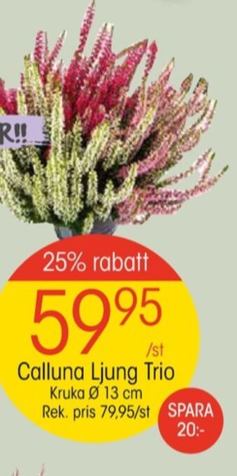 EKO Eko plantor erbjuda