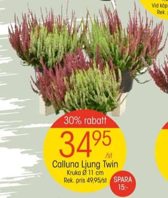 EKO Eko plantor erbjuda