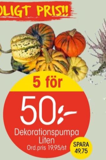 EKO Eko plantor erbjuda