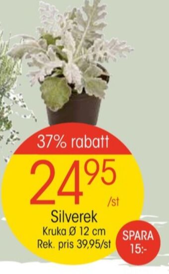 EKO Eko plantor erbjuda