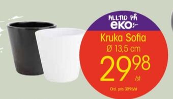 EKO Weibull krukor erbjuda