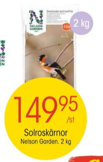 EKO Nelson garden solrosfrön erbjuda