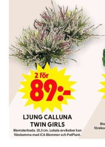 ICA Maxi Blomsterboda plantor erbjuda