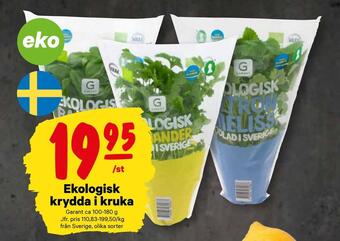 Ekologisk krydda i kruka