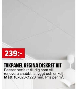 Bauhaus TAKPANEL REGINA PÄRLSPONT erbjuda