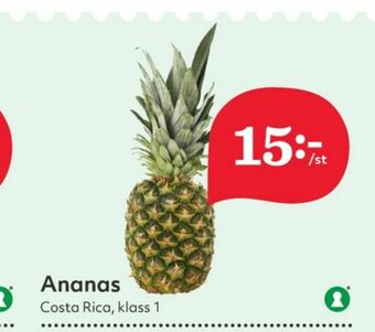 Ananas