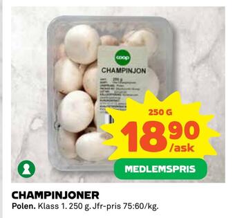 Coop Daglivs Champinjoner erbjuda