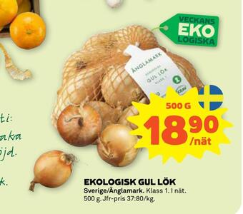 Stora Coop Ekologisk gul lök erbjuda