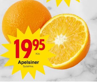 Matöppet Stjärnägg apelsiner erbjuda
