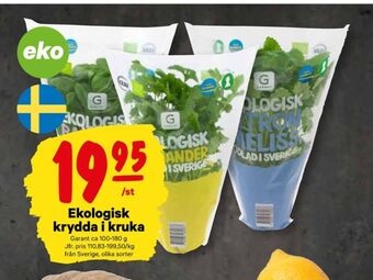 City Gross Garant kryddörter erbjuda