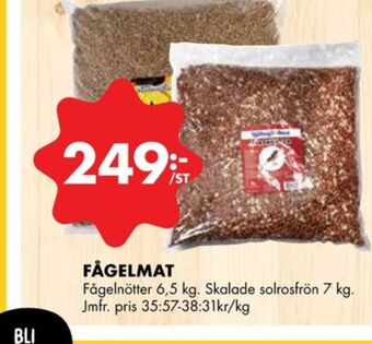 ÖoB Nature solrosfrön erbjuda